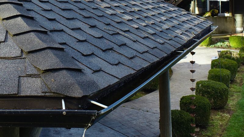 Gutter Cleaning