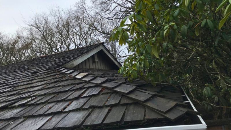 Trimming Overhanging Branches