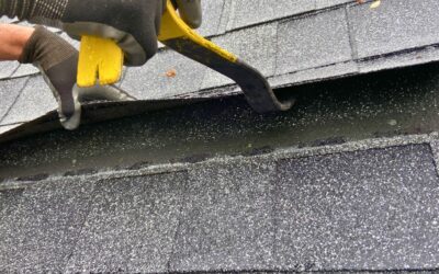 Fall Season Roofing Maintenance